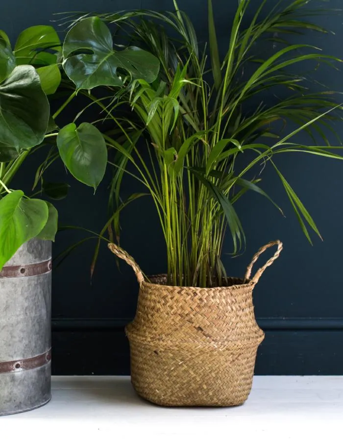 Deep Seagrass Basket