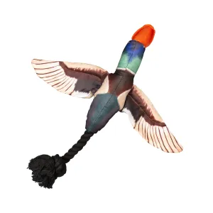 Fly and Fetch Duck Dog Toy