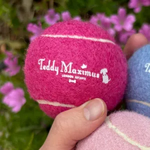 Hot Pink Dog Ball Toy by Teddy Maximus