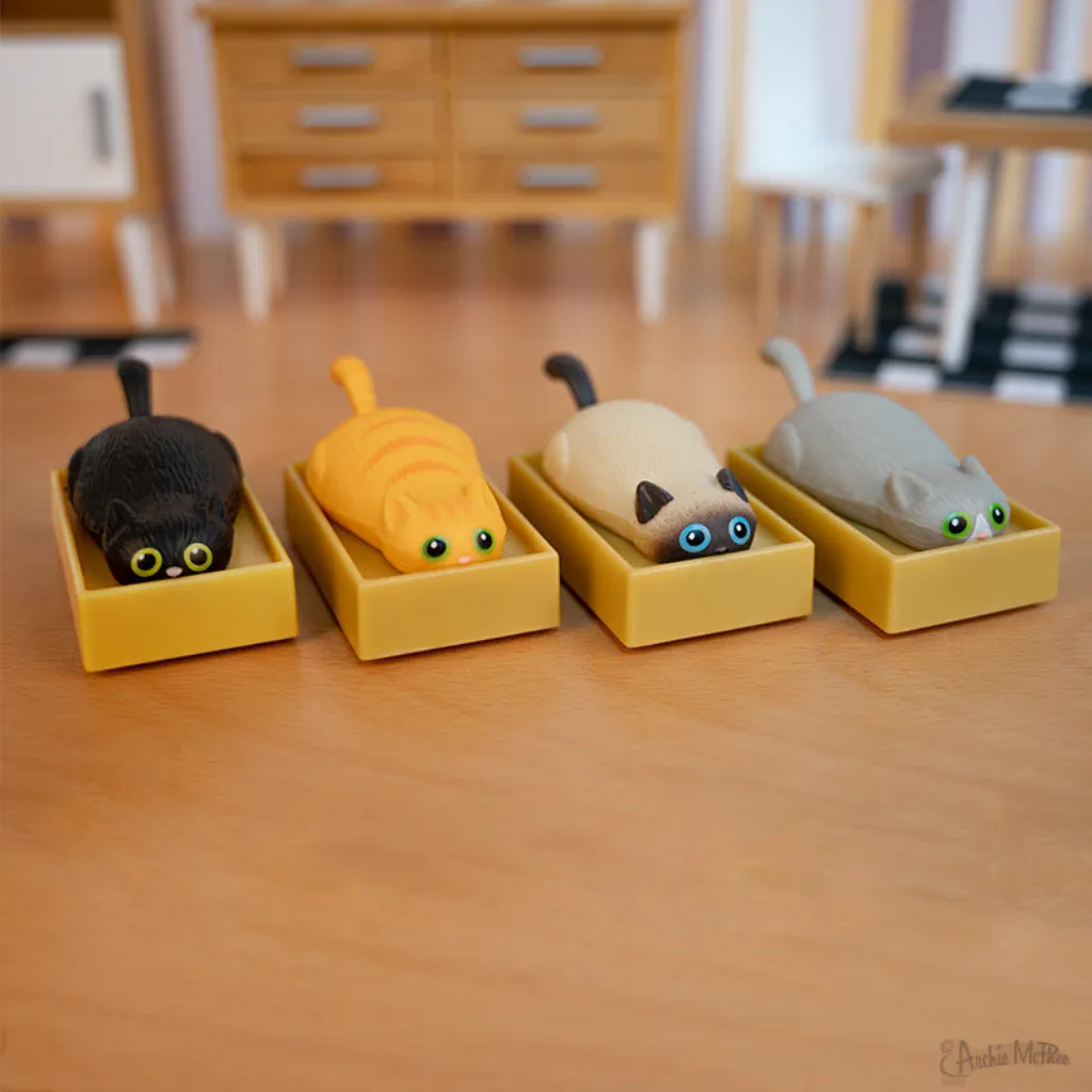 Racing Cats In Boxes Toy