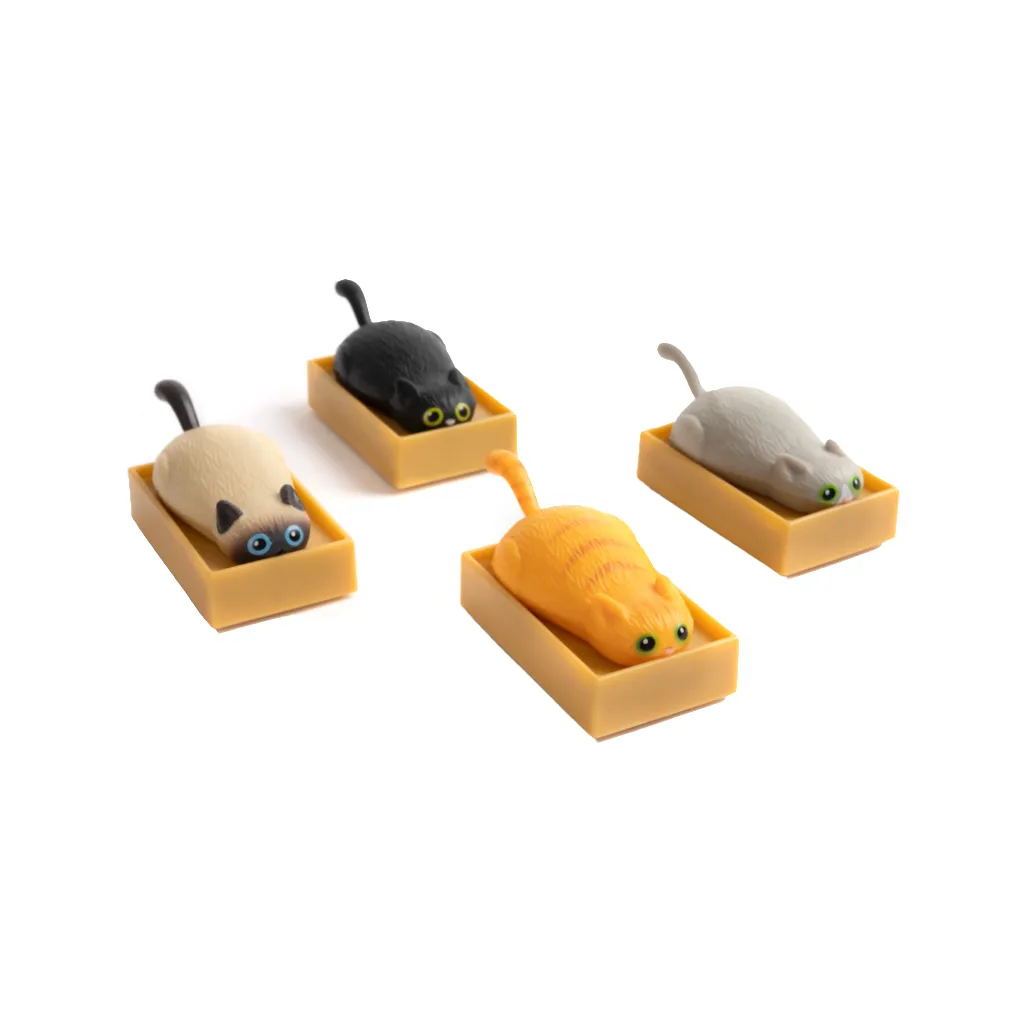 Racing Cats In Boxes Toy